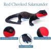 The Petting Zoo Salamander Stuffed Animal Plushie, Gifts for Kids, Wild Onez Reptile Animals, Red Cheeked Salamander Plush Toy 9 Inches
