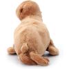 The Petting Zoo Sea Lion Stuffed Animal, Gifts for Kids, Wild Onez Zoo Animals, Sea Lion Plush Toy 12 inches