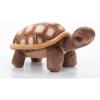 The Petting Zoo Desert Tortoise Stuffed Animal Plushie, Gifts for Kids, Wild Onez Wildlife Animals, Desert Tortoise Plush Toy 9 Inches(9 in)