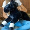 The Petting Zoo Floppy Horse Stuffed Animal Plushie, Gifts for Kids, Wild Onez Wildlife Animals, Black Horse Plush Toy, 24 inches