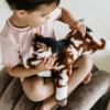 The Petting Zoo Floppy Painted Pinto Horse Stuffed Animal Plushie, Gifts for Kids, Wild Onez Barnyard Animals, Pinto Horse Plush Toy, 16 inches