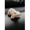 The Petting Zoo Naked Mole Rat Stuffed Animal Plushie, Gifts for Kids, Wild Onez Wildlife Animals, Mole Rat Plush Toy, 9 inches