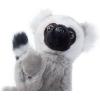The Petting Zoo Ring-Tailed Lemur Stuffed Animal Plushie, Gifts for Kids, Wild Onez Babiez Zoo Animals, Lemur Plush Toy 6 inches (Pack of 2)(6 in)