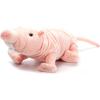 The Petting Zoo Naked Mole Rat Stuffed Animal Plushie, Gifts for Kids, Wild Onez Wildlife Animals, Mole Rat Plush Toy, 9 inches