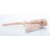 The Petting Zoo Cownose Ray Stuffed Animal Plushie, Gifts for Kids, Wild Onez Ocean Animals, Stingray Plush Toy 15 inches from Tip of Tail to Head