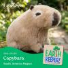 The Petting Zoo Capybara Stuffed Animal Plushie, Gifts for Kids, Earth Keeperz Wildlife Animals, Zoologee Brown Capybara Plush Toy, 10 inches